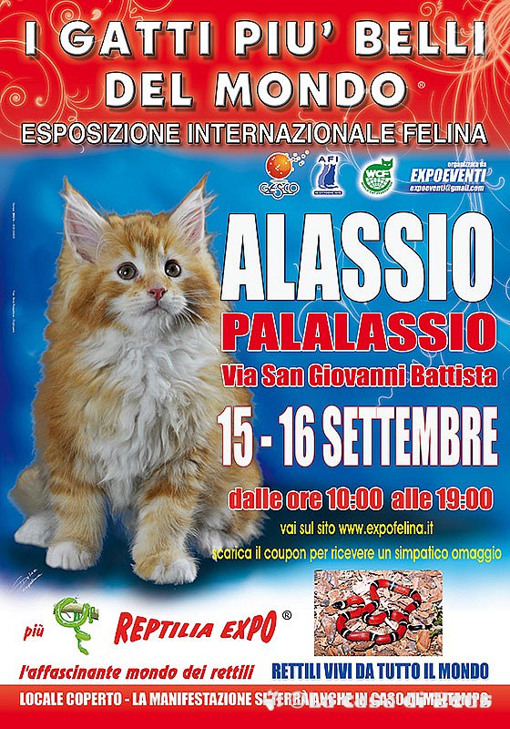 15/16 settembre 2012 - Alassio, la mia prima expo